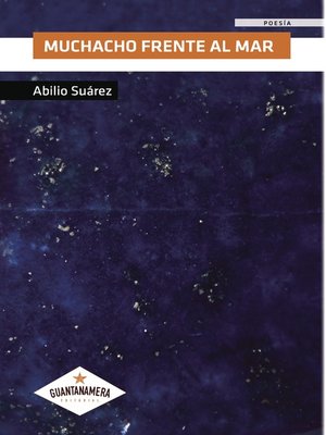 cover image of Muchacho frente al mar